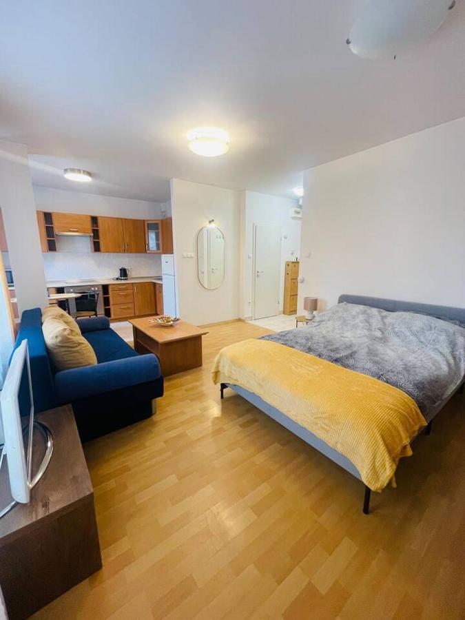 Central Studio Close To Andrassy Avenue For 4 Persons بودابست المظهر الخارجي الصورة